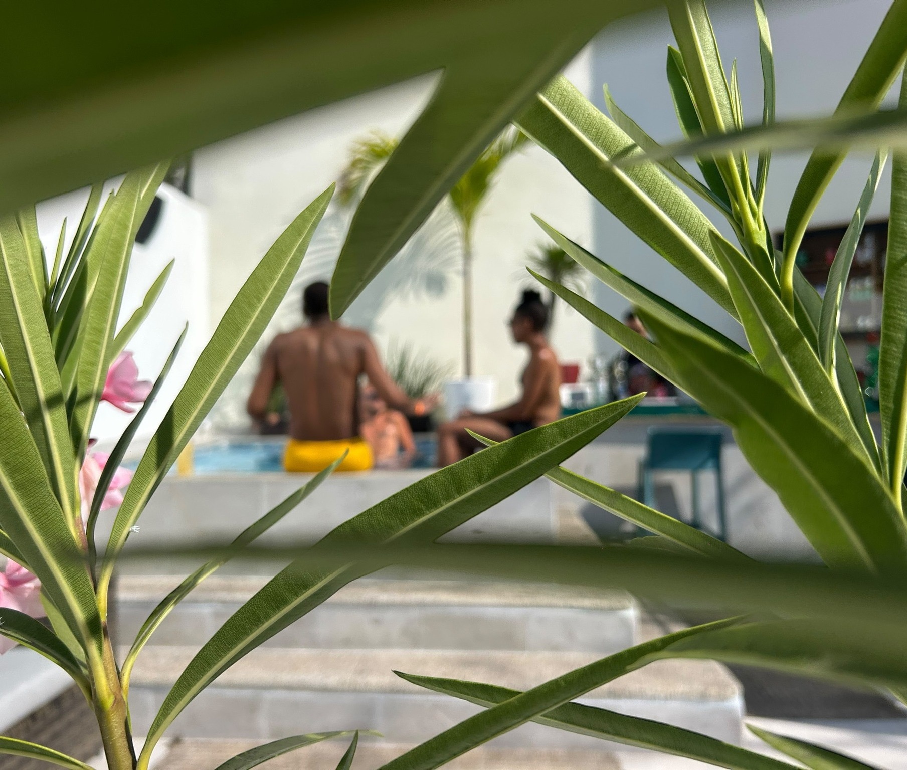 50% Discount for Locals
